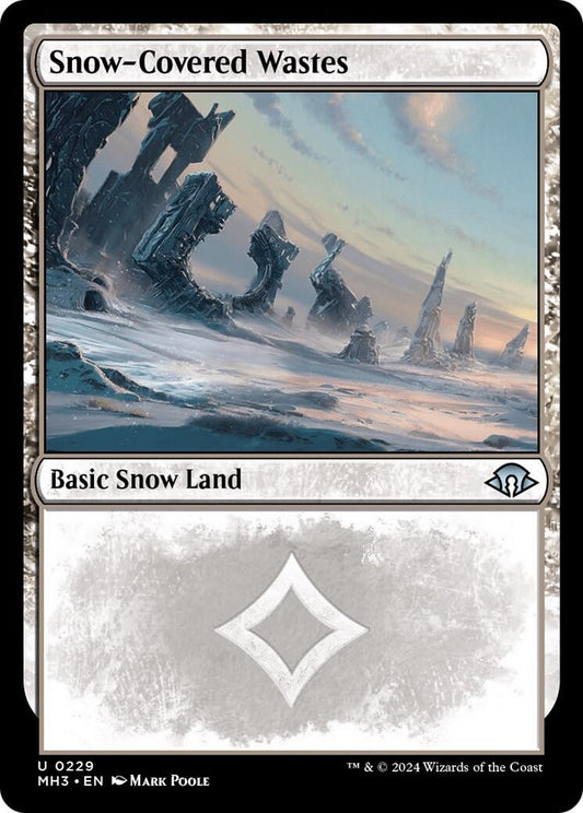 Image for Snow-Covered Wastes (0229) [229] - Magic: The Gathering