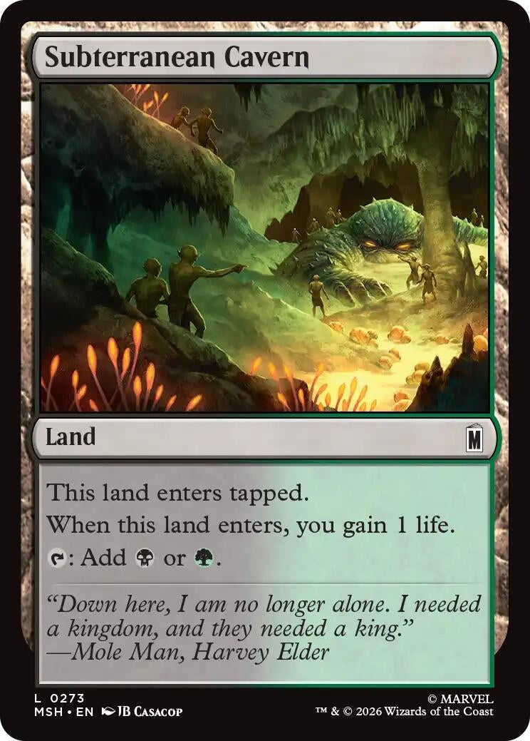 Image for Subterranean Cavern [273] - Magic: The Gathering